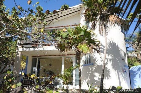 Las Ranitas Eco Boutique Hotel Tulum Exterior foto