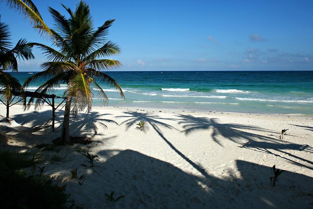 Las Ranitas Eco Boutique Hotel Tulum Exterior foto